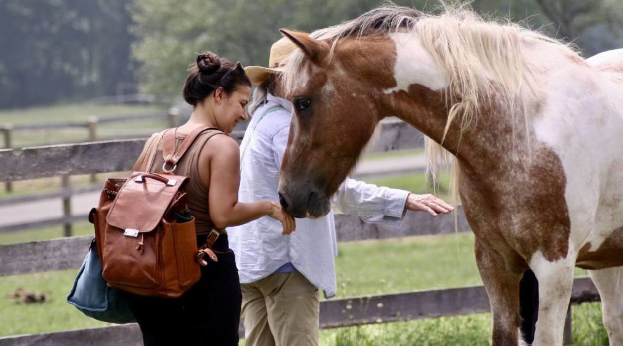 A woman with a backpack pets a brown horse at 13 Hands Equine Rescue, Clinton Corners